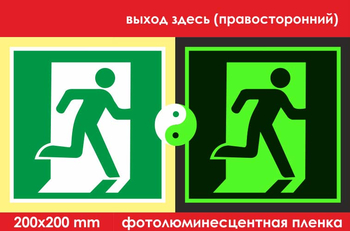 E01-02 выход здесь (правосторонний) (ГОСТ 34428-2018, фотолюминесцентная пленка, 200х200 мм) - Знаки безопасности - Фотолюминесцентные знаки - Магазин охраны труда ИЗО Стиль